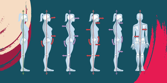 Foundational Focus for Diastasis Recti - Levelle, Inc